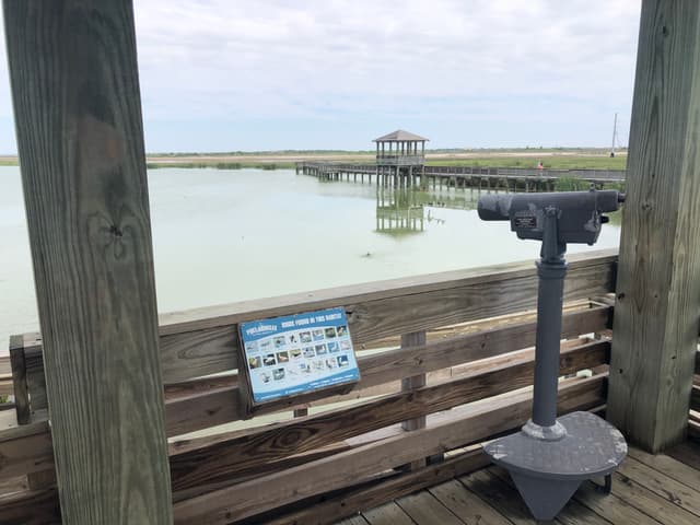 Leonabelle Turnbull Birding Center Port Aransas photo 6