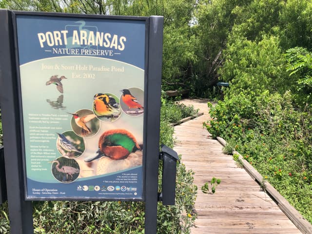 Paradise Pond Port Aransas birding photo 3