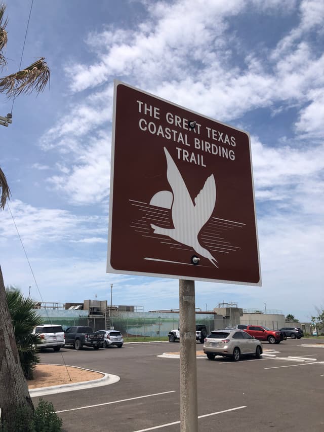 Paradise Pond Port Aransas birding photo 5