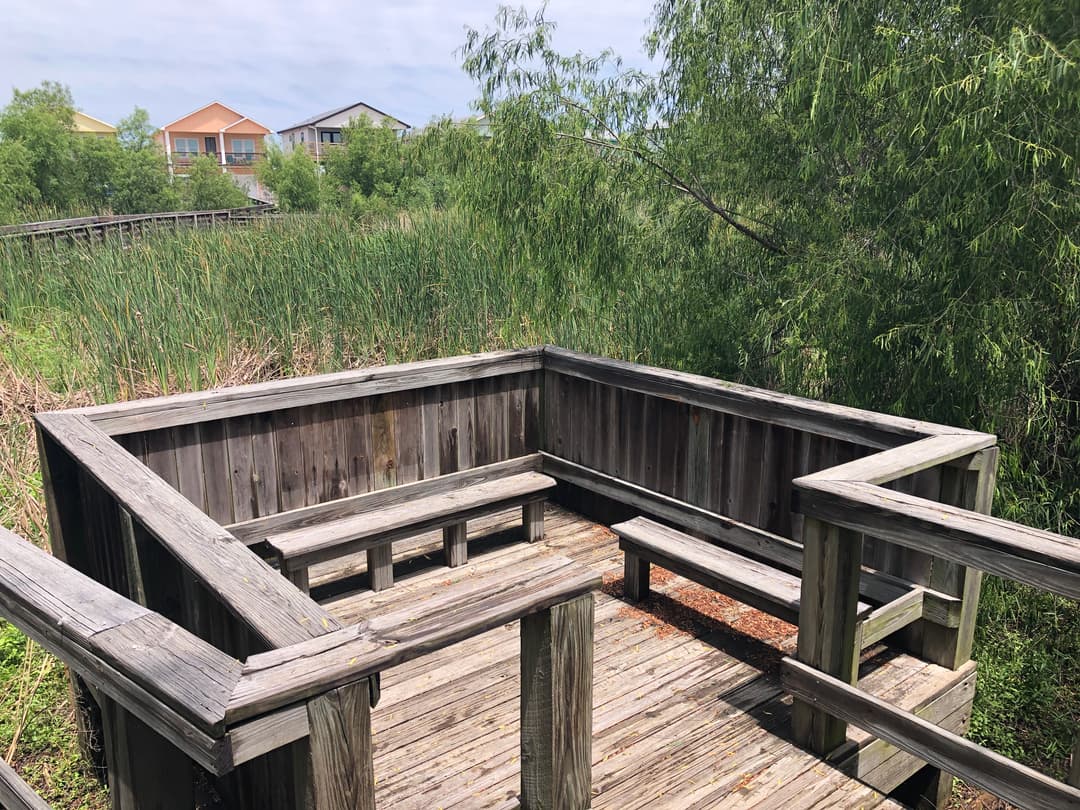 Elevated observation deck at Paradise Pond Port Aransas overlooking wetland marsh
