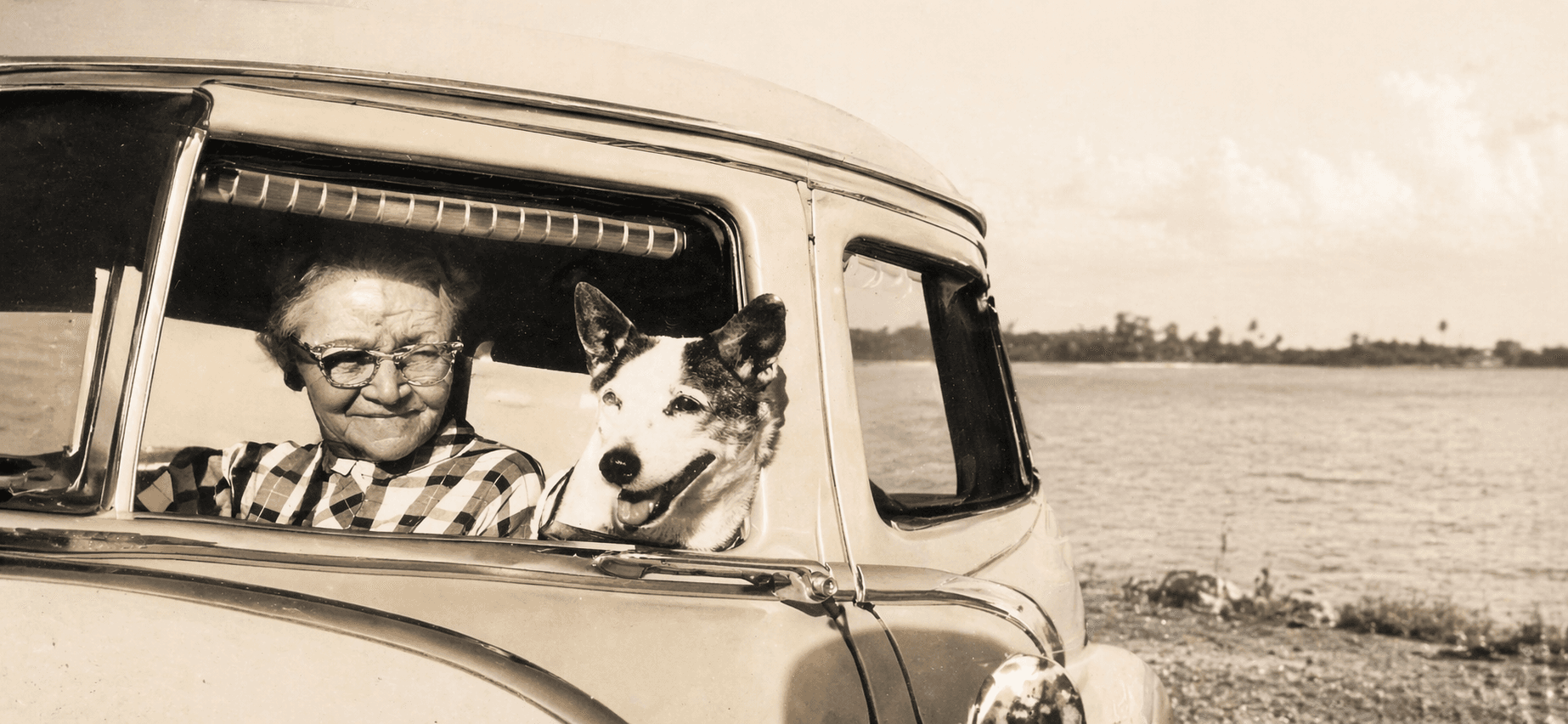 Connie Hagar on her daily birding route with her dog Patch, Aransas Bay circa 1950s