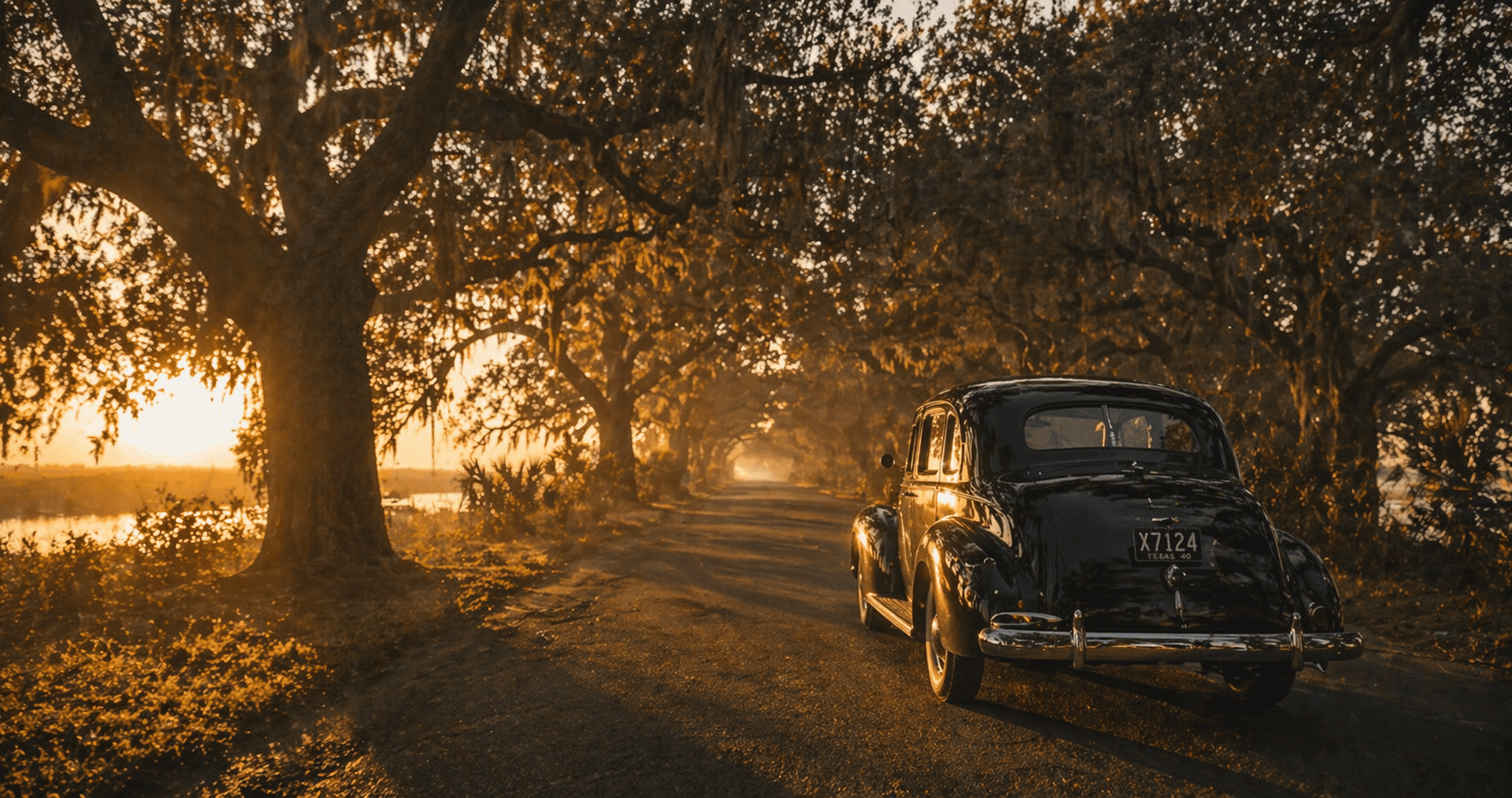 Coastal road through live oaks Rockport Texas — the route Connie Hagar drove daily