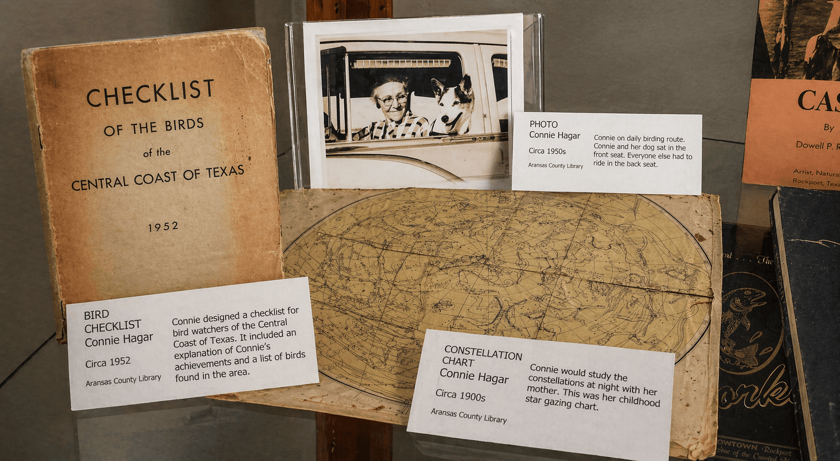 Connie Hagar display case at Aransas County History Center showing 1952 bird checklist and constellation chart
