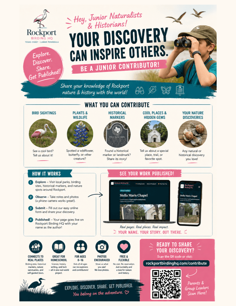 Junior Naturalist Contributor flyer — Rockport Birding HQ