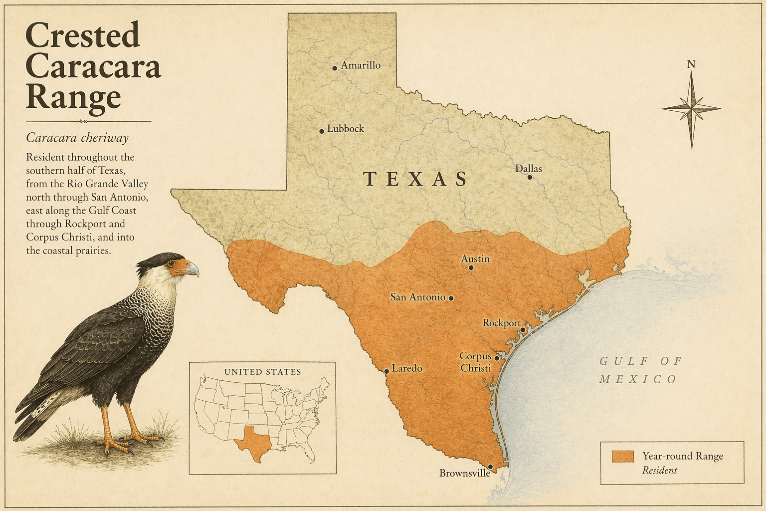 Crested Caracara range map Texas