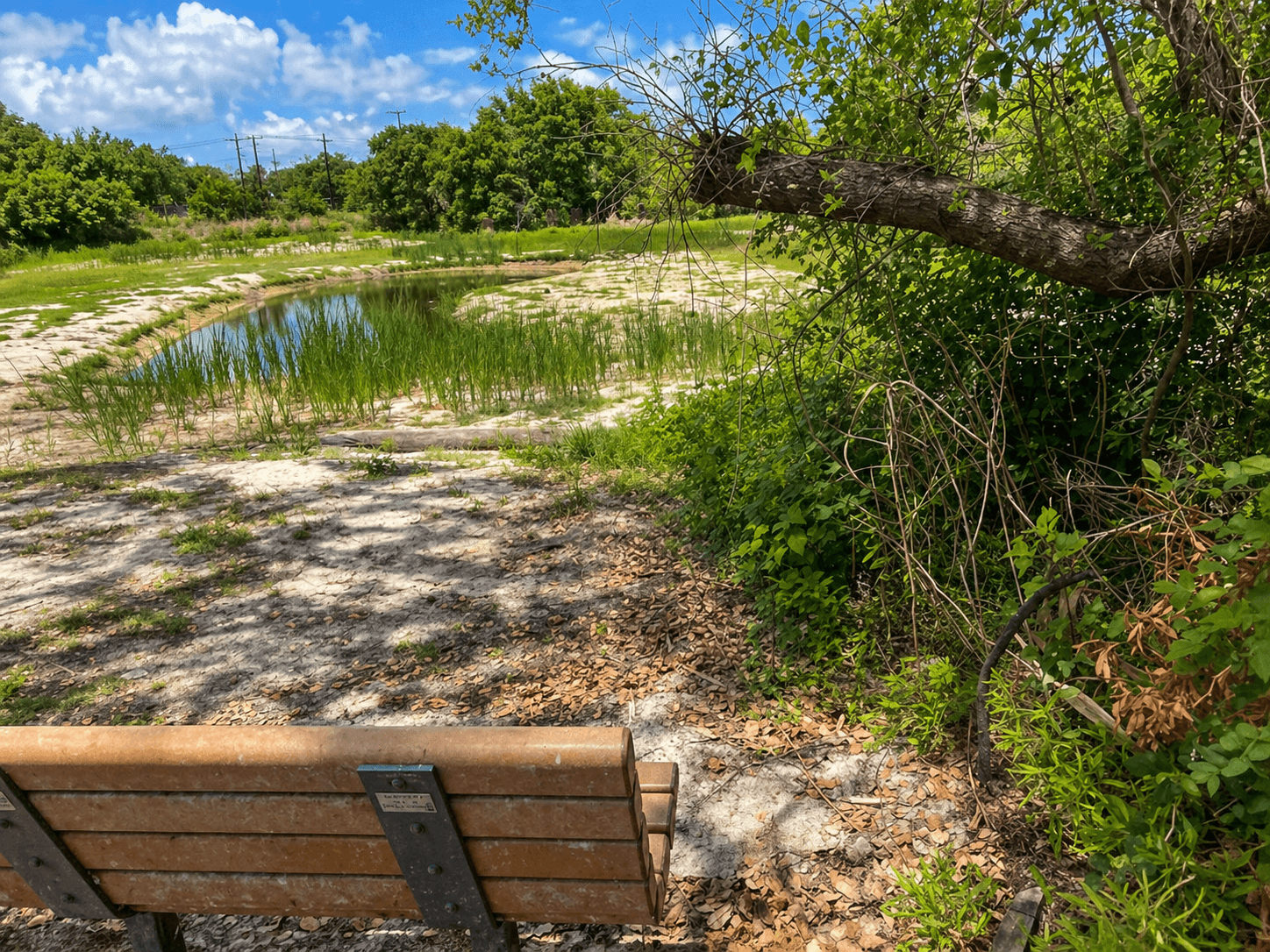 Wooden bench overlooking the ephemeral pond at Linda Castro Nature Sanctuary Rockport Texas