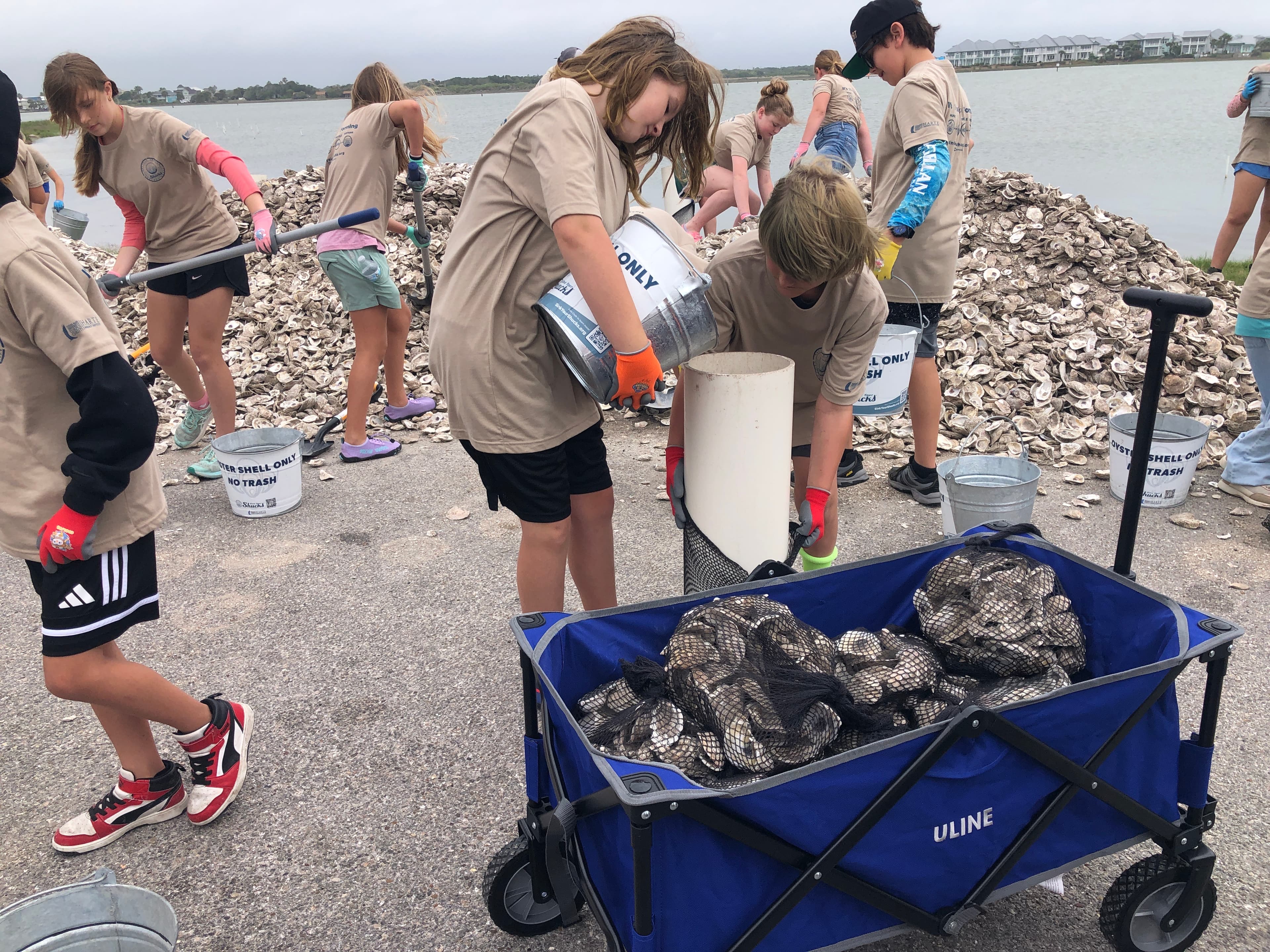 Students participating in oyster reef restoration at Goose Island State Park Rockport Texas