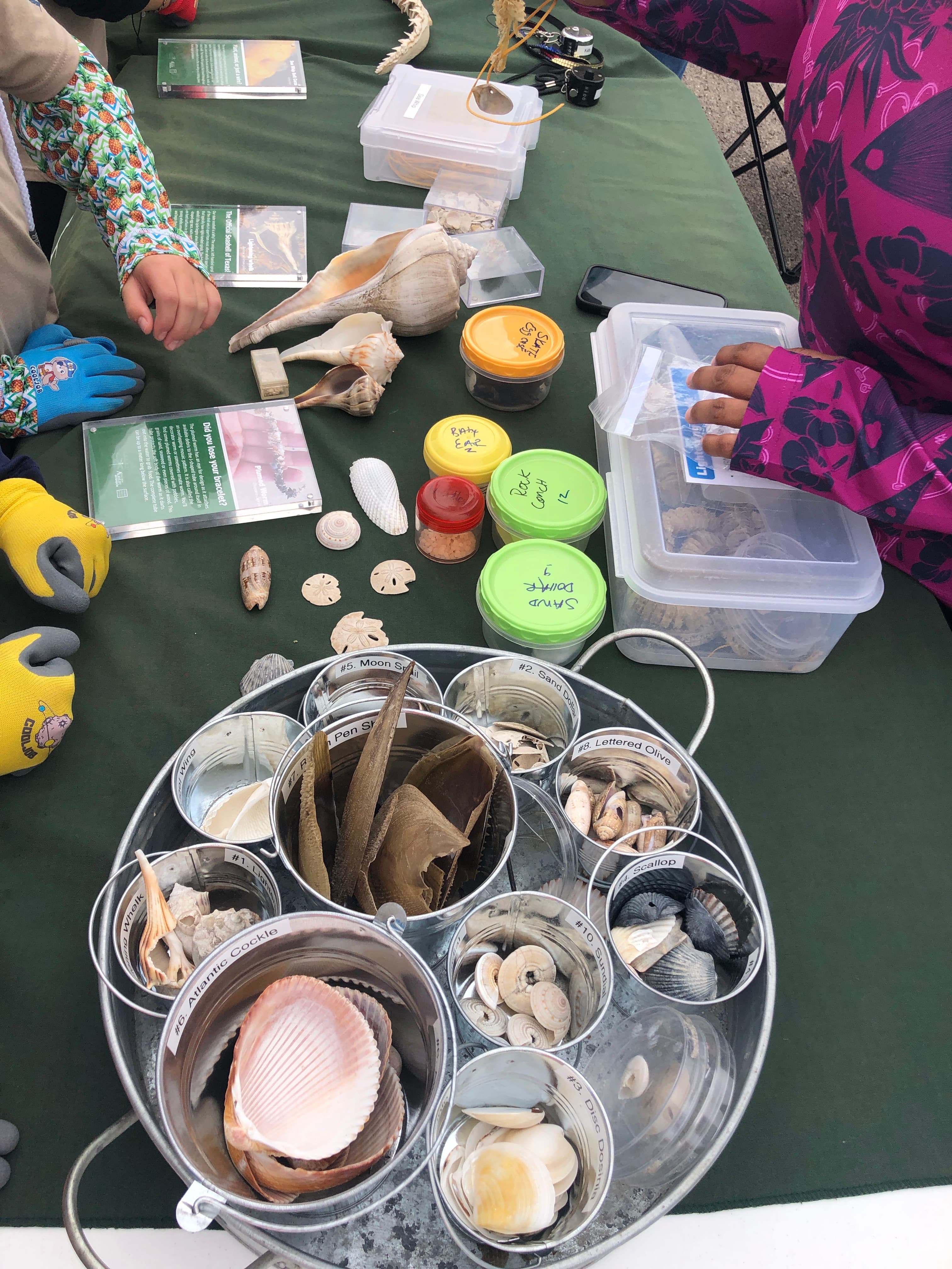 Children volunteering to bag oyster shells for reef restoration at Goose Island State Park