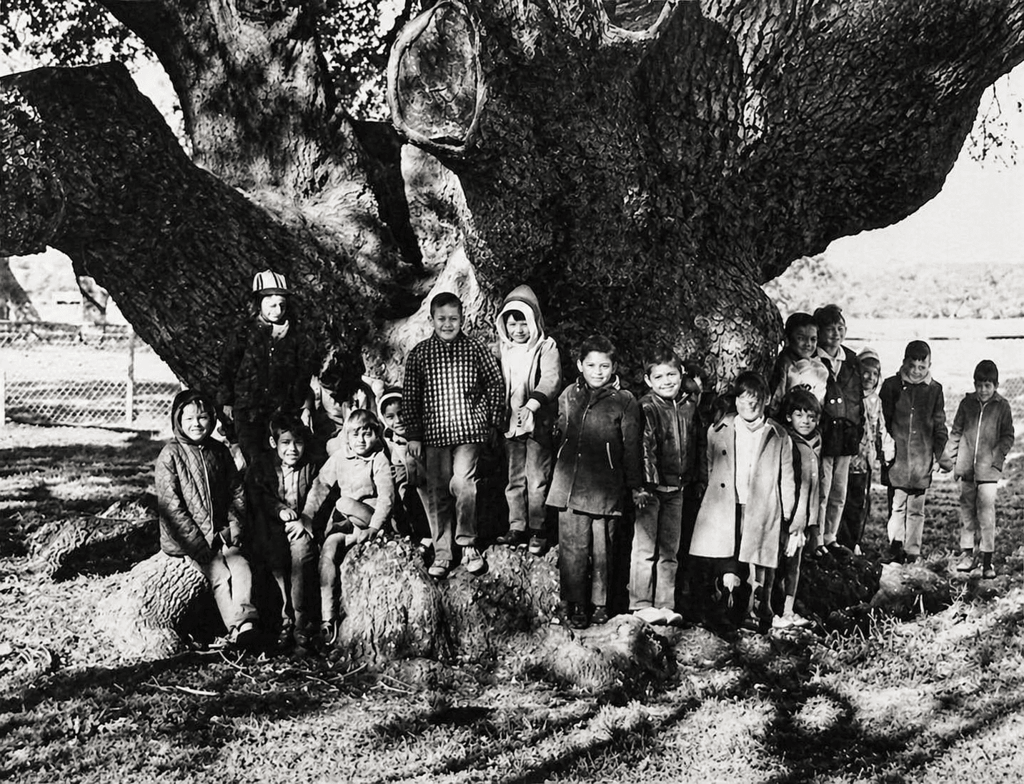 Children gathered at the base of the Big Tree, Lamar Peninsula Rockport Texas — historical photograph