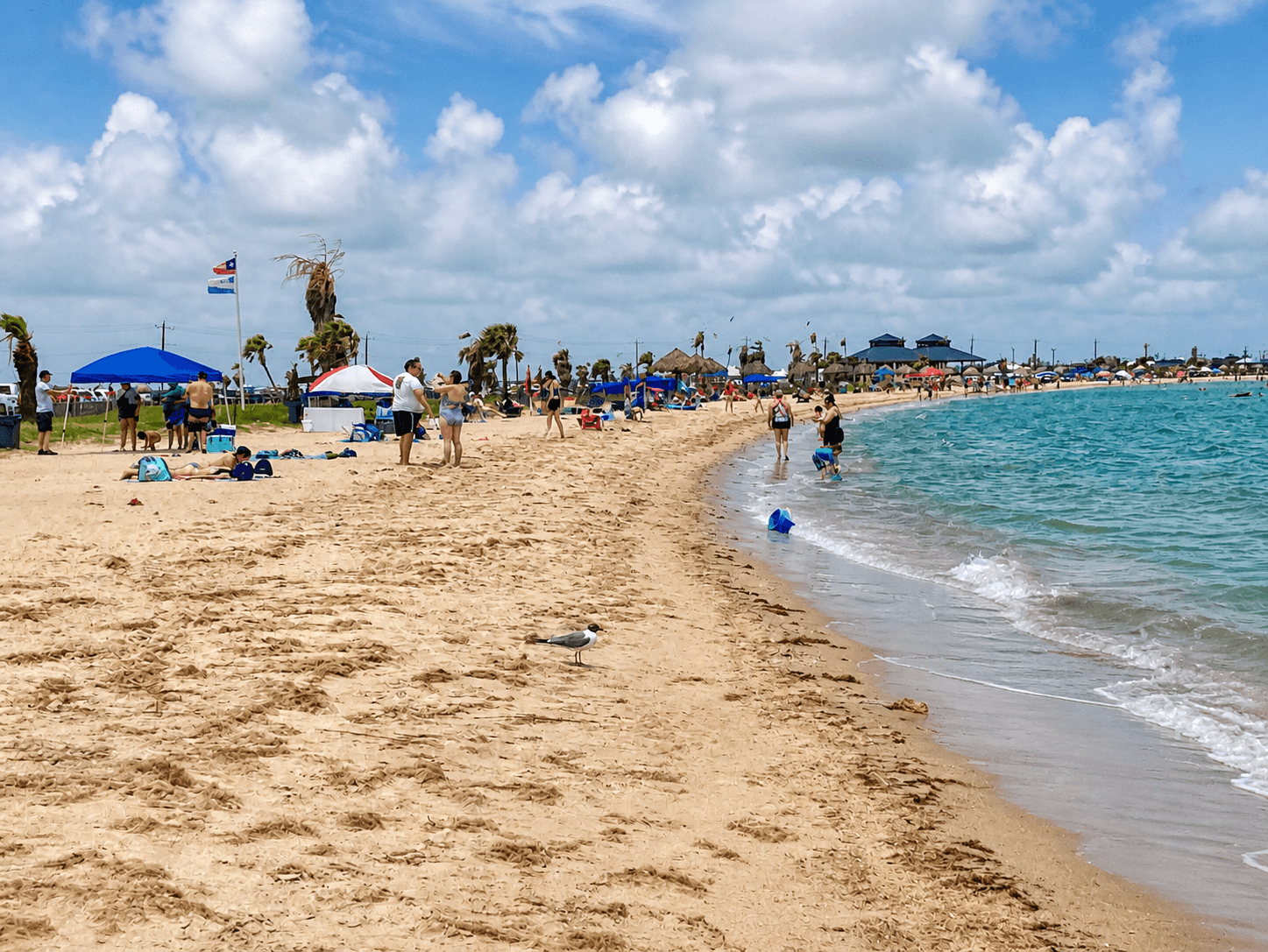 Families enjoying Rockport Beach Park on a sunny day