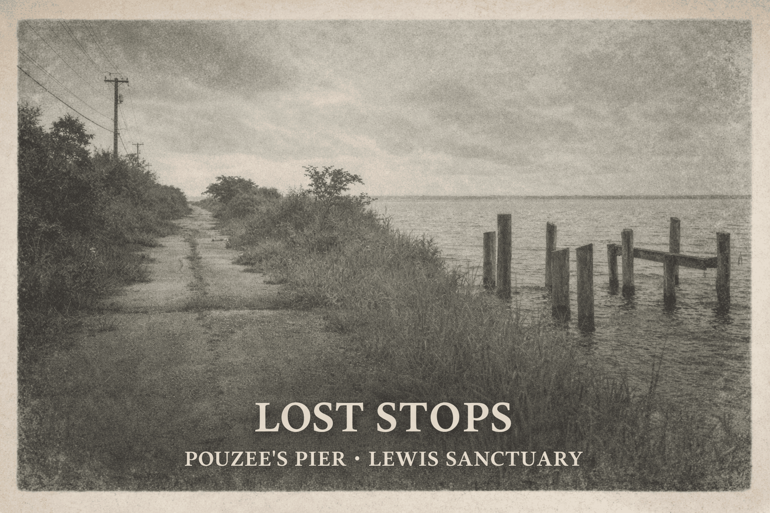 Lost stops from the 1989 route — Old Salt Lake Road, Pouzee's Pier, several marsh roads along FM 1781 now impassable or private. The guide warned that 'some marsh roads may be impassable after moderate rain.' Most are simply gone.