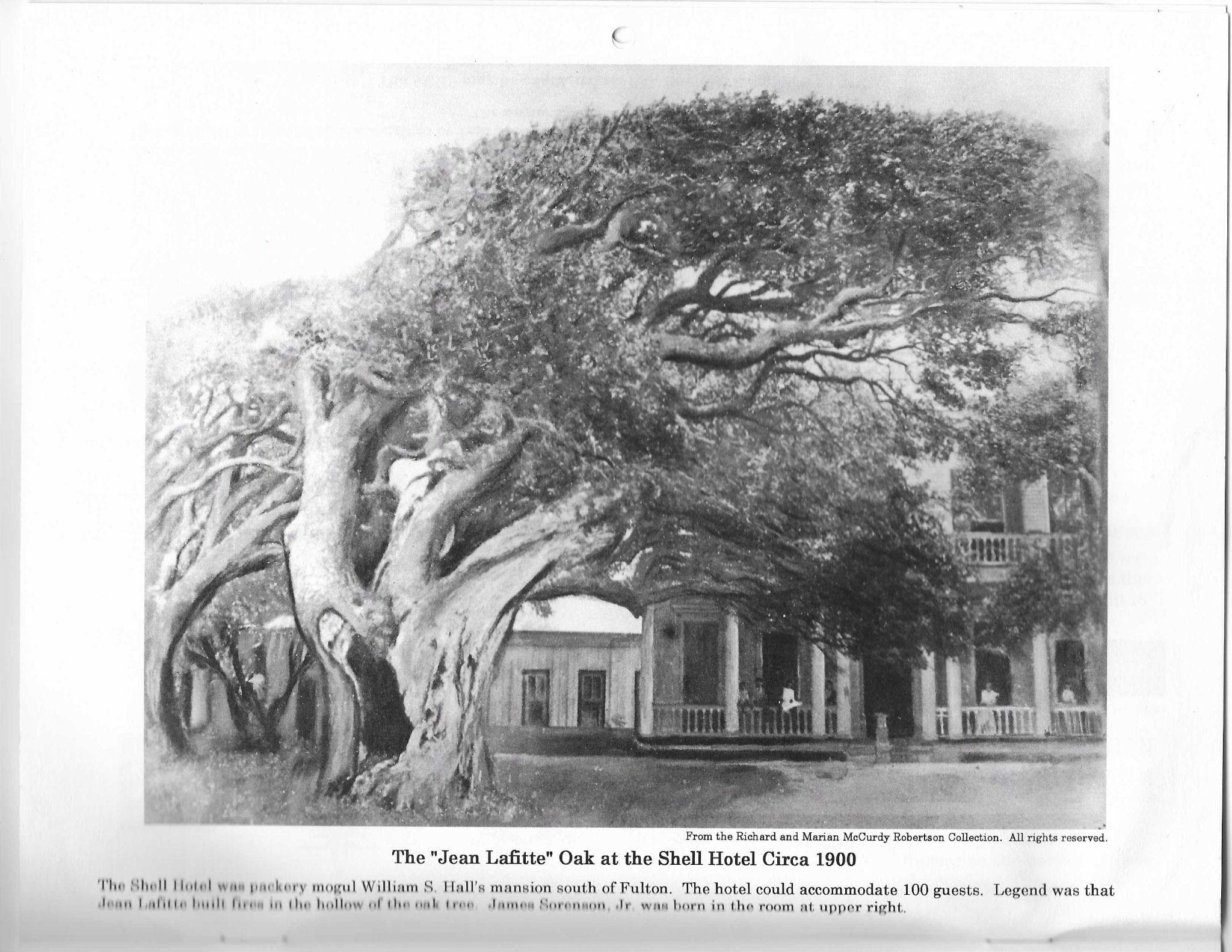 The Shell Hotel at Fulton, circa 1900 — William S. Hall's mansion overlooked by the "Jean Lafitte Oak." The hotel hosted 100 guests and was a centerpiece of the Fulton packery era.