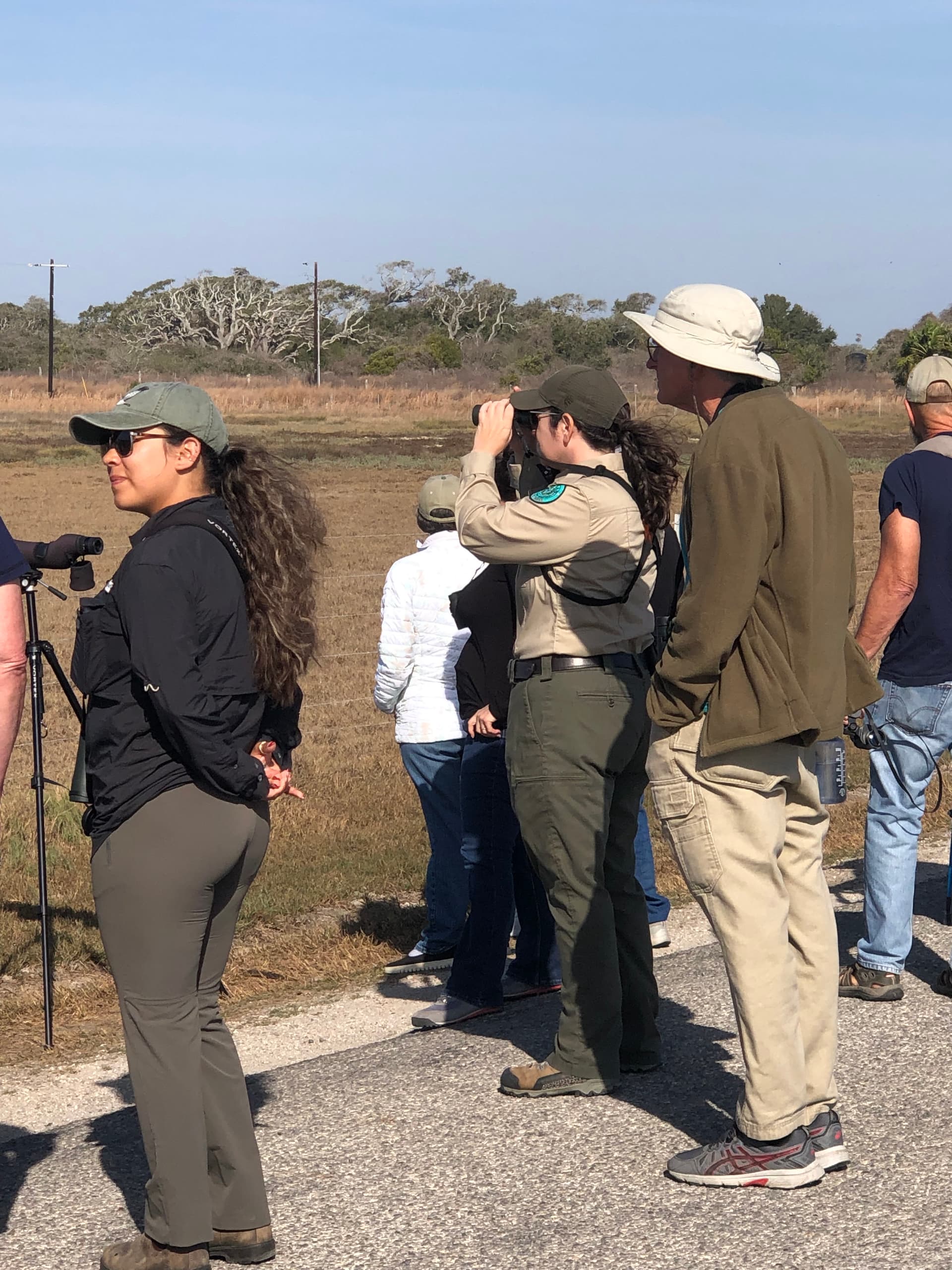 Birding group on Lamar Beach Road during a Goose Island State Park interpretive tour — soaking in the peninsula's remarkable bird diversity