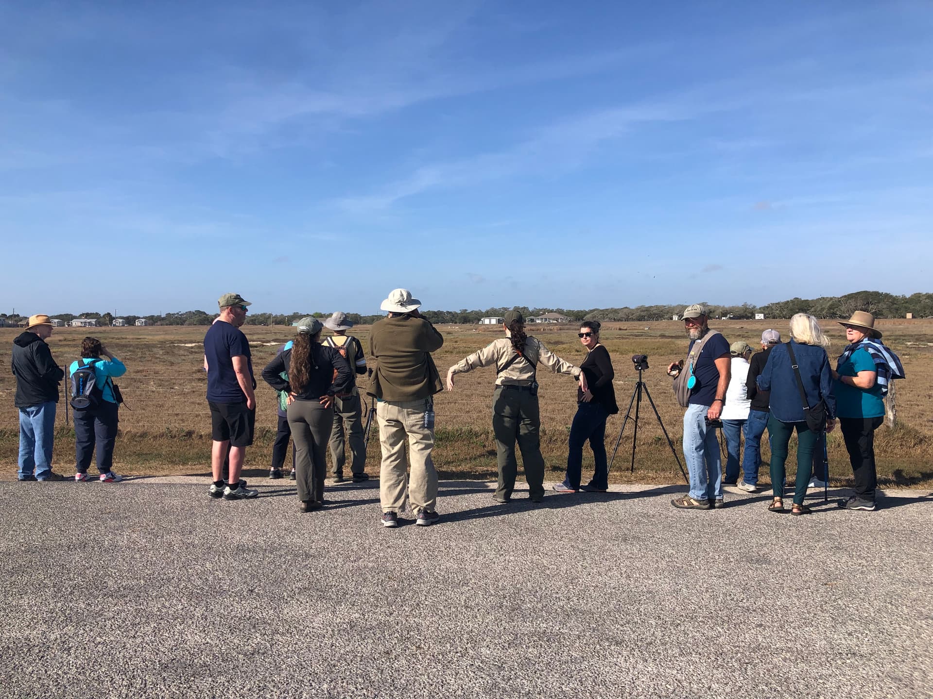 Birders on a guided tour at Goose Island State Park spotting whooping cranes along the Lamar Peninsula