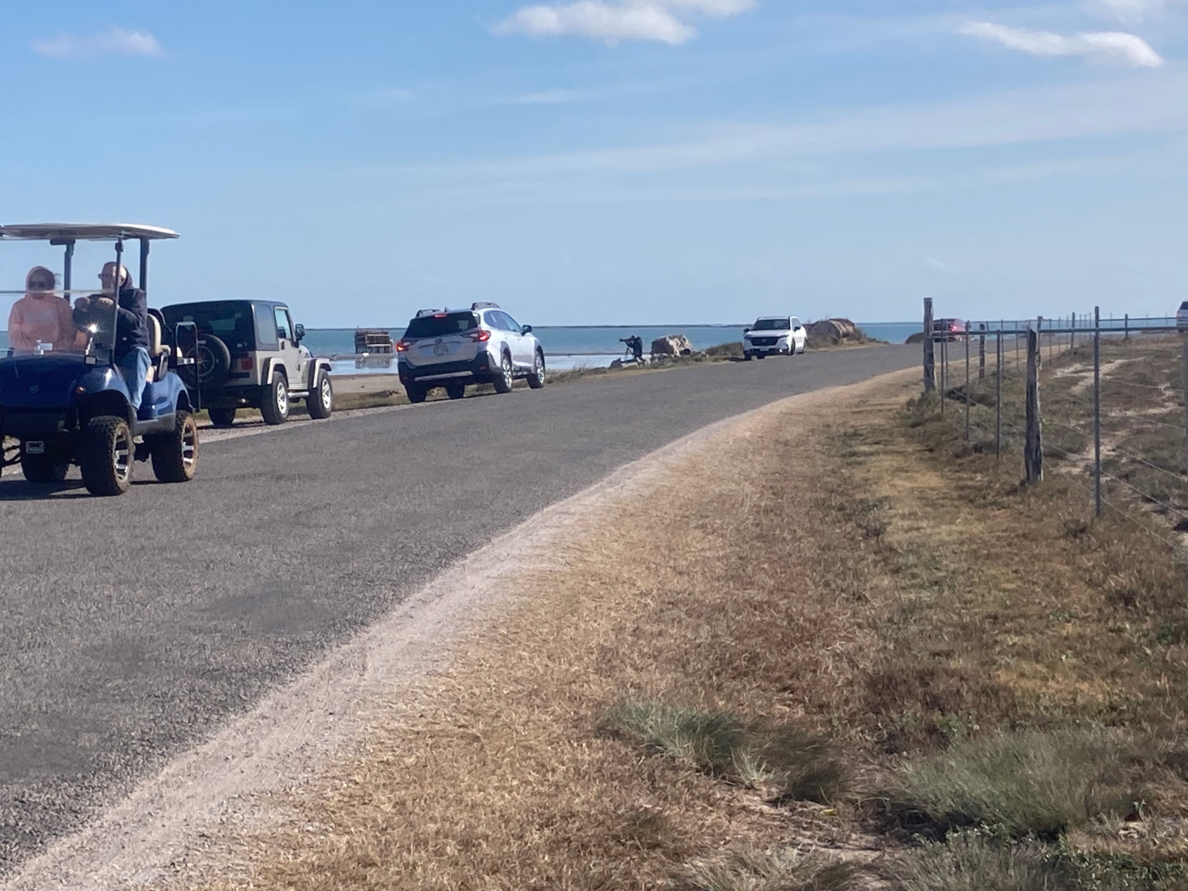 Cars lining Lamar Beach Road during whooping crane viewing season — a reminder to respect local landowners and pull fully off the road