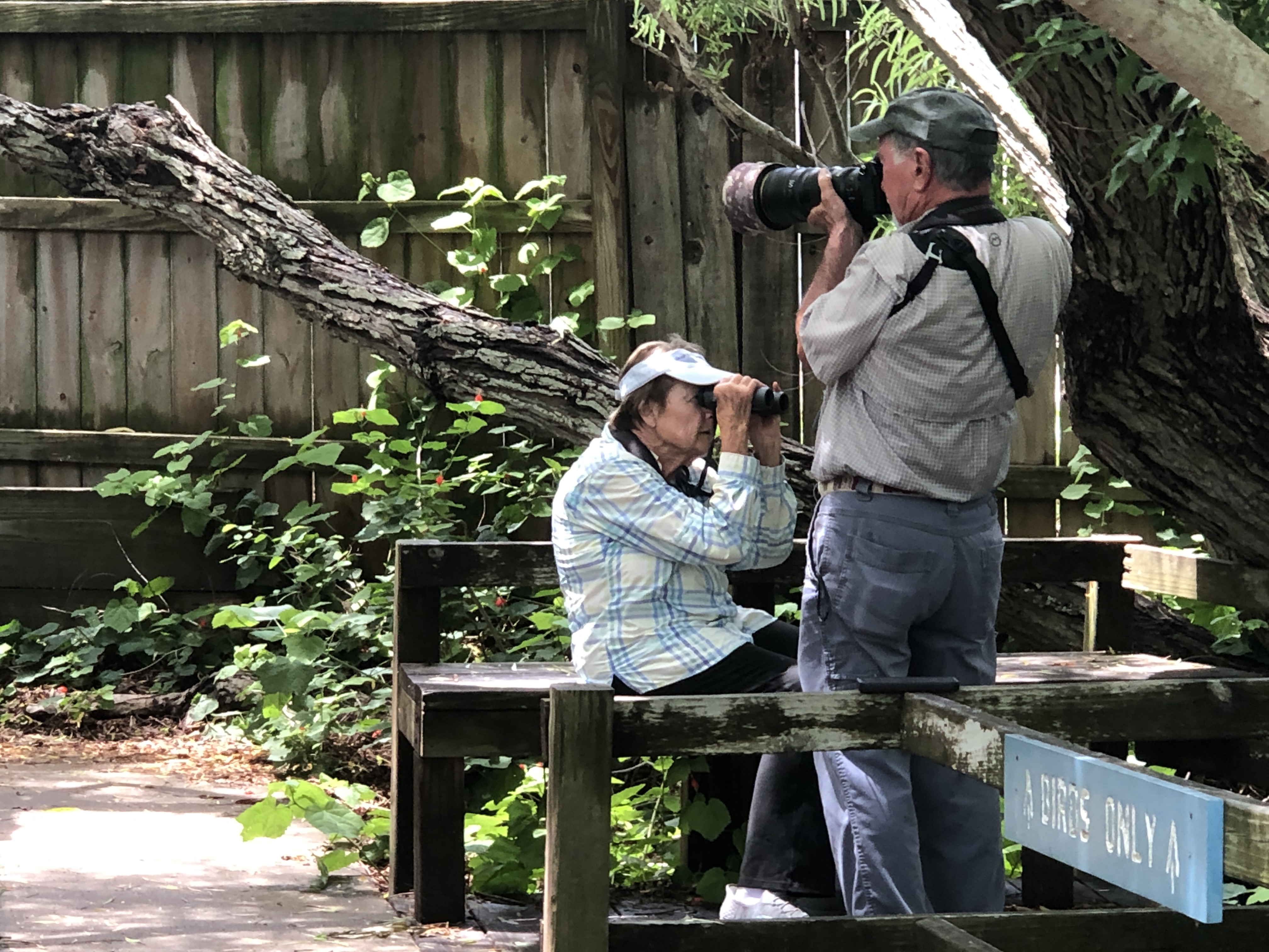 Birders with binoculars and telephoto lenses at Paradise Pond Port Aransas — Birds Only sign