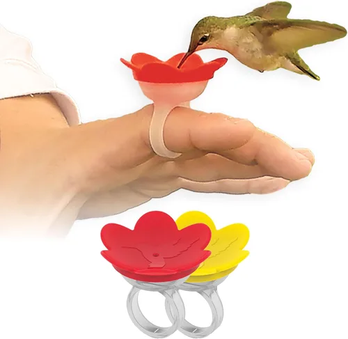 ZUMMR Ring Feeder, 2-Pack