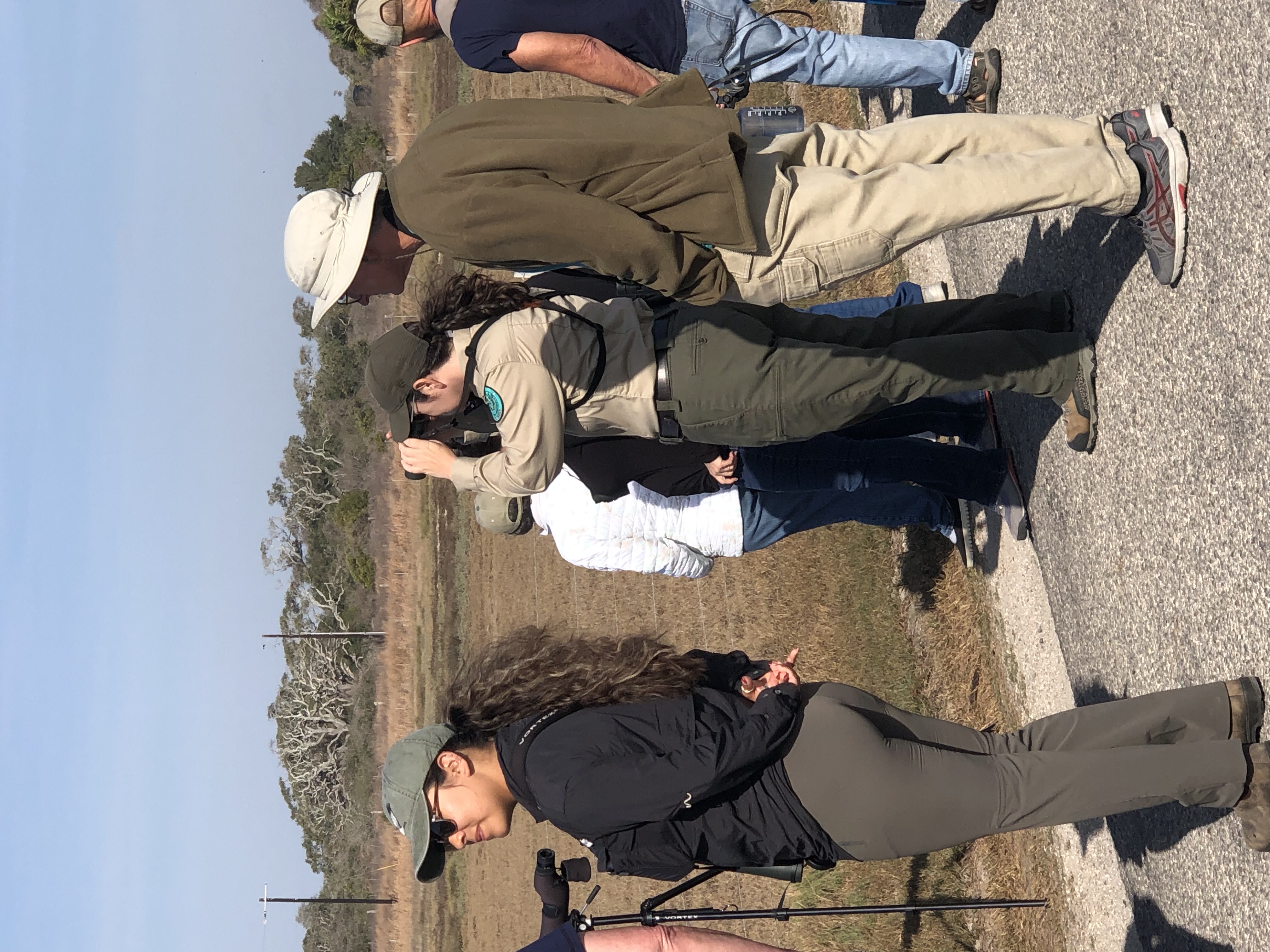 Birding group on Lamar Beach Road during a Goose Island State Park interpretive tour — soaking in the peninsula's remarkable bird diversity