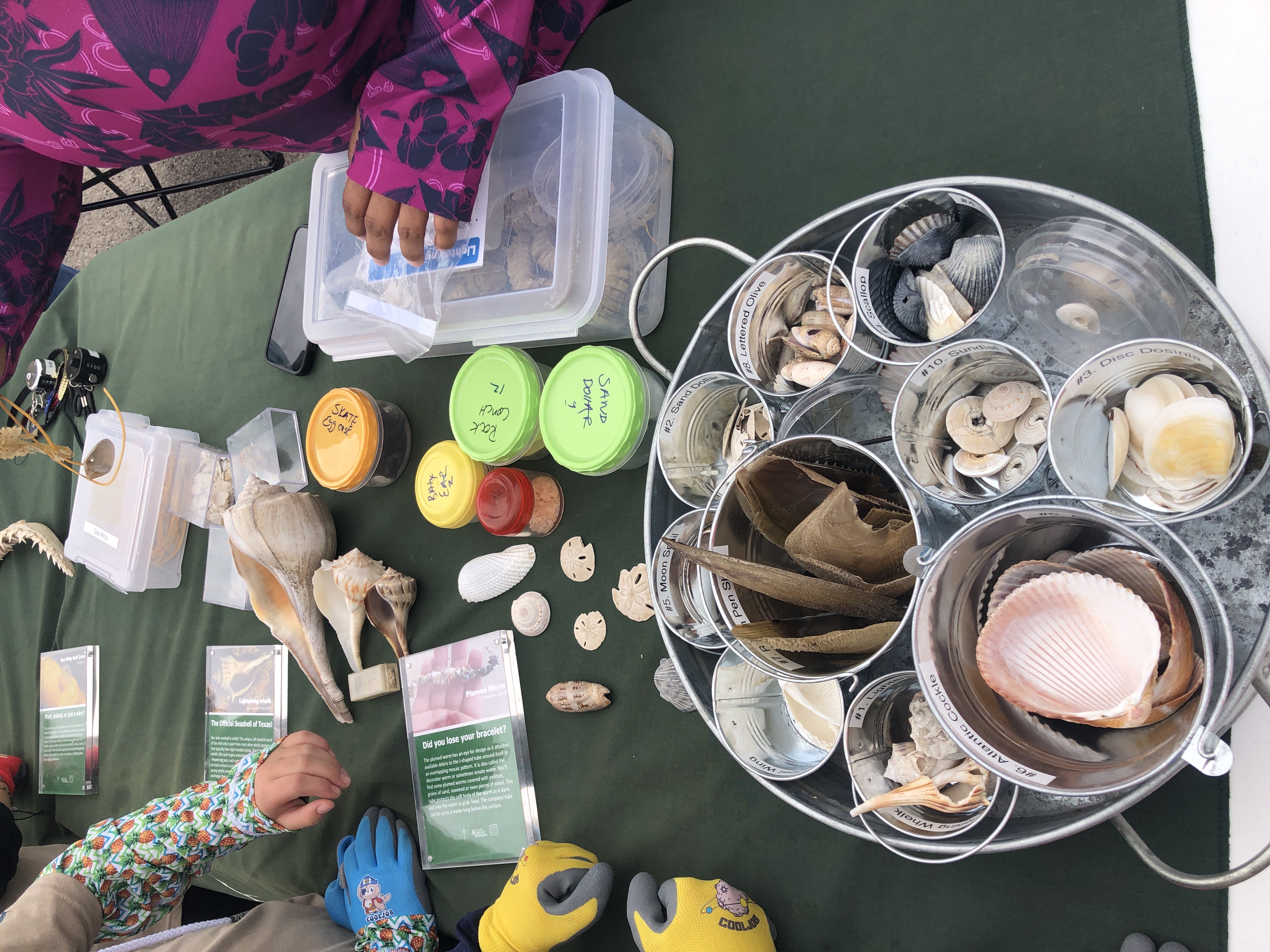 Children volunteering to bag oyster shells for reef restoration at Goose Island State Park