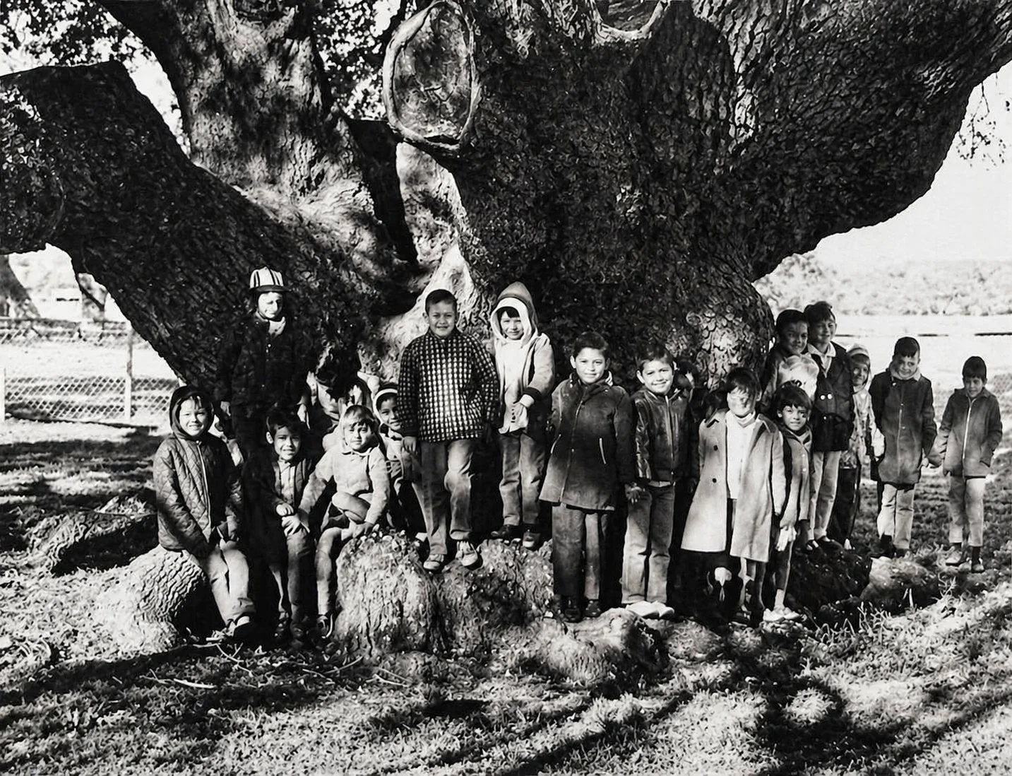 Children gathered at the base of the Big Tree, Lamar Peninsula Rockport Texas — historical photograph